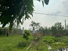 Hình ảnh Chủ bán lô đất vườn sổ hồng riêng xã Trung Lập Thượng