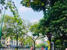 Hình ảnh 🌺Hot 81M2- Xe Hơi 7 chỗ- Đặng Văn Ngữ- Phú Nhuận- Nhỉnh 10 Ty.