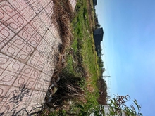 Hình ảnh SHR chính chủ 100m2 cần bán gấp 999tr