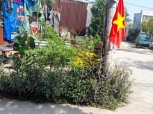 Hình ảnh Đất Góc 2 Mặt tiền 5X15M Đường Liên ấp 234 Vĩnh Lộc A Bình Chánh