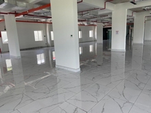 Hình ảnh Văn phòng Sala - Trống Suốt - Vị Trí Cực Đẹp - Diện Tích Từ 220m2.