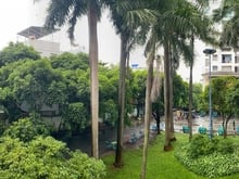 Hình ảnh Cần bán CH 312 Lạc Long Quân Quận 11 sổ hồng rồi 64m 2PN giá 2,29 tỷ