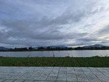 Hình ảnh Đất Cây lâu năm , Núi rchai,  Lâm đồng