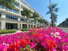 Hình ảnh Cho thuê căn nhà phố shophouse sala giá tốt 80tr/ tháng