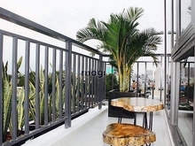 Hình ảnh Mb6623 nạp rút nhanh chóng studio cửa sổ,view cây xanh,Nguyễn Đức Thuận Tân Bình