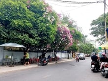 Hình ảnh Ôtô 7C ngủ Nhà 5T có Thang máy hẻm 496 Dương Quảng Hàm F6 nhỉnh 8Tỷ TL