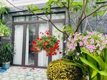 Hình ảnh Nhà mới 100% ĐÃ SỔ quận 12, 200m2 sàn giá rẻ hơn TT 1 tỷ, mảng xanh, a