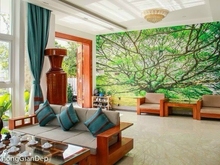 Hình ảnh Kẹt tiền bán gấp nhà Nguyễn Trọng Tuyển,Q.Tân Bình-11x22m-4 tầng-45 tỷ
