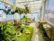 Hình ảnh Nhà Hoàng Hoa Thám F5 Phú Nhuận-70m2-4 Tầng-HXH-Nhích 9Ty TL
