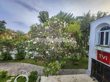Hình ảnh Cho thuê căn biệt thự Thảo Điền, khu Compound, 720m2 đất, 4PN, hồ bơi