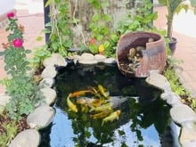 Hình ảnh Gấp bán nền Biệt thự Thủ Đức, 418m2 chỉ 7.2 tỷ, gần Lò Lu, Vinhomes.