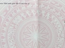 Hình ảnh Bán đất 375m2 đường Trần Đình Đàn, Phước Mỹ, Sơn Trà