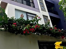 Hình ảnh Biệt Thự Đa Phước 8, Dt 192m2, Nhà 3 Tầng, Đg 10m, Giá 14,8 Tỷ.