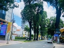 Hình ảnh Bán nhà mặt tiền Pasteur, P. Võ Thị Sáu, Q 3 DT: 10x37m Nở hậu 18m