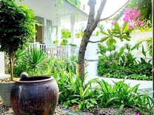 Hình ảnh Biệt Thự Đg Nguyễn Hữu Thông, DT 300m2, Nhà 4 Tầng, Đg 6m, Giá 48 Tỷ.