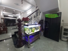 Hình ảnh Mặt tiền Dương Thị Giang, gấp bán, cam kết rẻ nhất khu vực, 4 tầng, vị