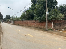 Hình ảnh Đất THỔ CƯ 167m2 đường QL21, Sơn Tây
