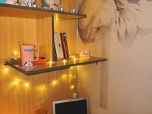 Hình ảnh 🌈🌈🌈Cho thuê Ký túc xá- Sleepbox gần Cao Lỗ Q8 giá từ 1TR5