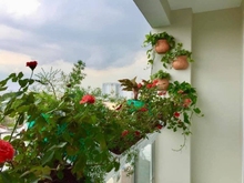 Hình ảnh Bán Trang Chủ MB66.COM / Đăng Ký Tặng 66K Phúc Thịnh Q5, 70m2, 2pn, 1wc, góc, sh chính chủ.Giá:2.6 tỷ