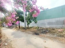 Hình ảnh Chính chủ bán đất sổ hồng riêng đường thạnh lộc 40 p thạnh lộc q12 tph