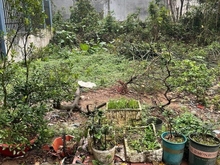 Hình ảnh Cần bán Đất Thường Tín, đất đẹp, giá rẻ ,gần vành đai 4 -135m2 - 2.7tỷ