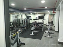 Hình ảnh 🌻Cho thuê chung cư 1PN rộng 50m2_cho PET_free gym_Đ.Nguyễn Văn Trỗi
