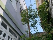 Hình ảnh Nhà Đường D2( Nguyễn Gia Trí) , P25, Bình Thạnh DT:39m2 1T3L/ 2 tỷ 499