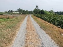 Hình ảnh Chính chủ bán đất lúa rẻ Châu Thành, Long An