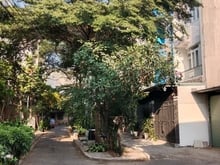 Hình ảnh Bán đất hẻm 3m Phạm Văn Chiêu, P.14, 4,4 x 14,xây cao lầu giá 3.68 tl