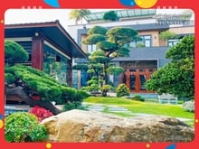 Hình ảnh GV. Biệt thự sân vườn, nhà MẶT TIỀN, 8M x 25M, 3T, giáp Bình Thạnh.