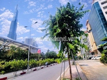 Hình ảnh Bán tòa nhà Điện Biên Phủ, Bình Thạnh, 330m2 đất, 1 hầm + 9 tầng