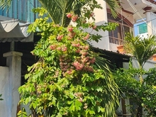 Hình ảnh Hàng hiếm, sổ đẹp nở hậu tài lộc, 72m2 3 tầng chỉ nhỉnh 5tỷ