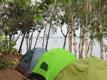 Hình ảnh Cần bán Đất Xã Lộc Quang, Lộc Ninh, Diện tích 2000m², Giá 600 Triệu