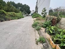 Hình ảnh Đất Nguyễn Văn Linh. Diện tích 76,8m2, mặt tiền 5,3m. 80tr/m2 (6,144tỷ