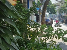 Hình ảnh Hàng hiếm, sổ đẹp nở hậu tài lộc, 72m2 3 tầng chỉ nhỉnh 5tỷ