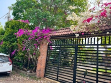 Hình ảnh Homestay khu nghỉ dưỡng & Đất vườn ngay Sài Gòn