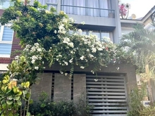 Hình ảnh 🏘️Bán nhà nằm trên đường Hoa Lan, phường 2, quận Phú Nhuận 1 tỷ 880