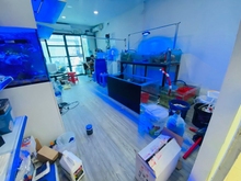 Hình ảnh Cho Thuê Nhà Đường 8m Cách Mạng Tháng 8 P.15 Quận 10 CV Lê Thị Riêng