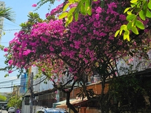 Hình ảnh Bán nhà Huỳnh Tấn Phát, ô tô vào nhà, 4 tầng, 4 x 18m, mới nhỉnh 6 tỷ
