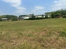 Hình ảnh 1500m2 cây hàng năm ngay chợ lô 6 tỉnh lộ 7 An Nhơn Tây Củ Chi  SHR