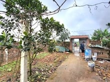Hình ảnh 365m -sẵn nhà cấp 4 mỗ hình VAC- nhiều chính sách thay đổi-tiềm năng