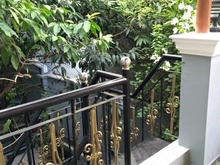 Hình ảnh Bán biệt thự hẻm Cống Quỳnh, Nguyễn Cư Trinh, Quận 1 - 332m2
