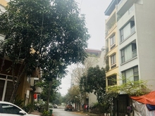 Hình ảnh Bán nhà LK KĐG Mậu Lương Hà Đông Vỉa hè Ô tô Kinh doanh 60m 5T MT 5m.