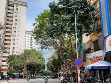 Hình ảnh Đất Liền kề Nguyễn Thị Định, Cầu Giấy. Lô góc 105m2 MT 10m. Vỉa hè 3m