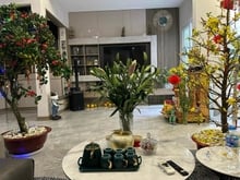 Hình ảnh Bán nhanh nhà đang cho thuê Bạch Đằng P2 Tân Bình 130m2 SHR giá 2tỷ400