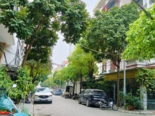 Hình ảnh Bán căn Dòng tiền CCMN Dương Khuê Nam Từ Liêm45m 5T MT4.8m 9P full đồ