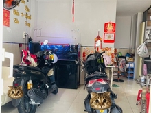Hình ảnh Hẻm Ô Tô Đường Bình Thới, Q11. DT: 4m x 10m (38m2). Trệt Lửng 2 Lầu ST