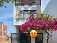 Hình ảnh ✅✅✅ Cho thuê nhà đẹp Khu Hoà Xuân , Gần Cầu Trung Lương