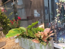 Hình ảnh Do chuyển công tác nên mình muốn bán căn - 🌼THE WESTERN CAPITAL QUẬN6