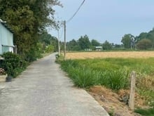 Hình ảnh Chính chủ bán đất lúa rẻ Châu Thành, Long An